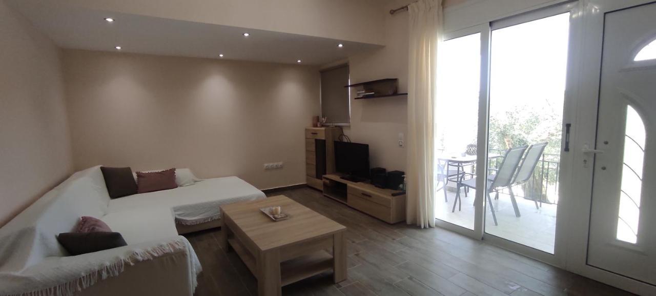 Helios & Elia Family Apartment Liapades Zewnętrze zdjęcie