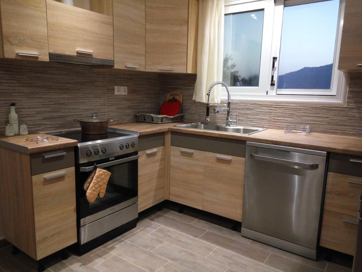 Helios & Elia Family Apartment Liapades Zewnętrze zdjęcie